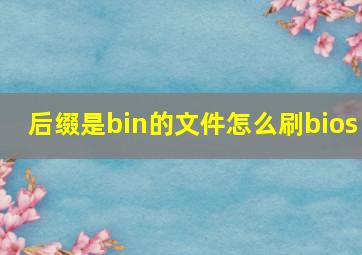 后缀是bin的文件怎么刷bios