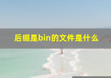 后缀是bin的文件是什么