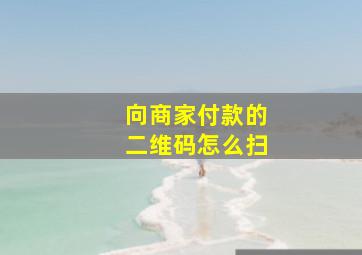 向商家付款的二维码怎么扫