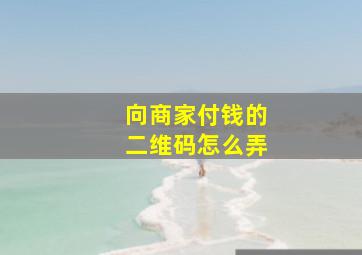 向商家付钱的二维码怎么弄