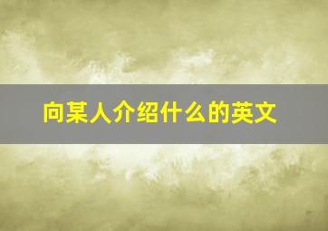 向某人介绍什么的英文