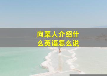 向某人介绍什么英语怎么说