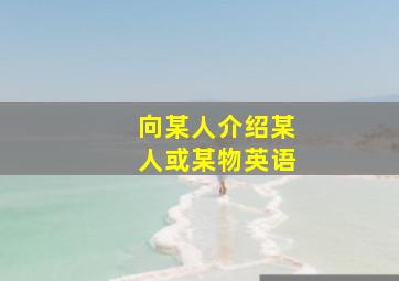 向某人介绍某人或某物英语