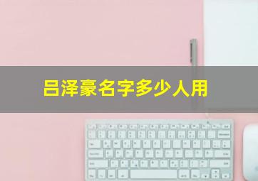 吕泽豪名字多少人用