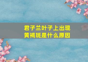 君子兰叶子上出现黄褐斑是什么原因