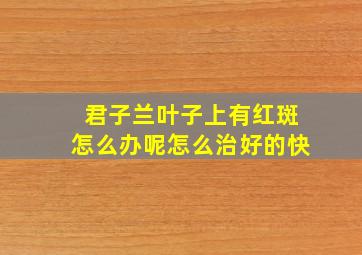 君子兰叶子上有红斑怎么办呢怎么治好的快