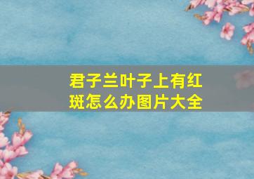 君子兰叶子上有红斑怎么办图片大全