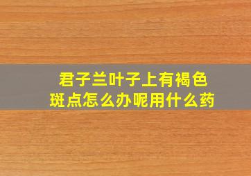 君子兰叶子上有褐色斑点怎么办呢用什么药