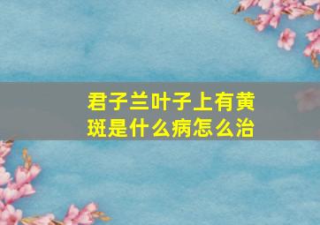 君子兰叶子上有黄斑是什么病怎么治