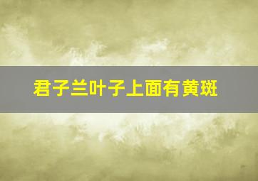 君子兰叶子上面有黄斑