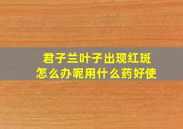 君子兰叶子出现红斑怎么办呢用什么药好使