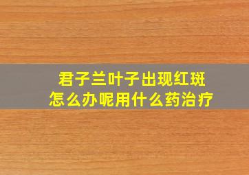 君子兰叶子出现红斑怎么办呢用什么药治疗