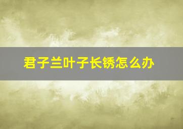 君子兰叶子长锈怎么办