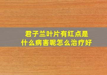 君子兰叶片有红点是什么病害呢怎么治疗好