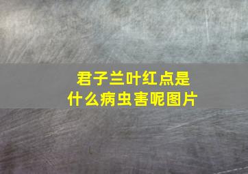 君子兰叶红点是什么病虫害呢图片