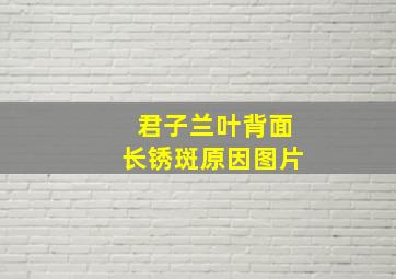 君子兰叶背面长锈斑原因图片