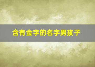 含有金字的名字男孩子