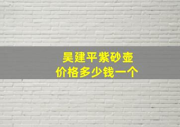 吴建平紫砂壶价格多少钱一个