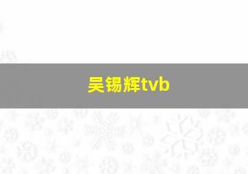 吴锡辉tvb