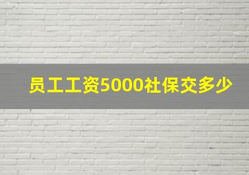 员工工资5000社保交多少