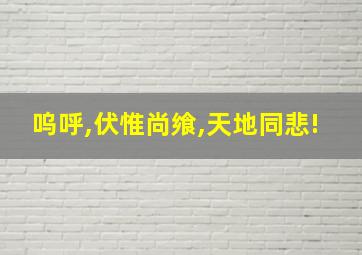 呜呼,伏惟尚飨,天地同悲!