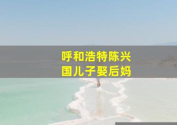 呼和浩特陈兴国儿子娶后妈