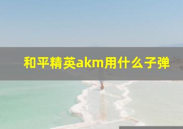 和平精英akm用什么子弹