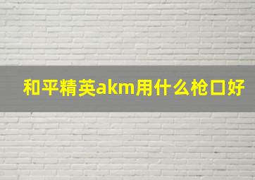 和平精英akm用什么枪口好