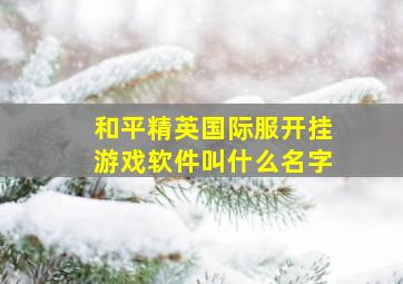 和平精英国际服开挂游戏软件叫什么名字