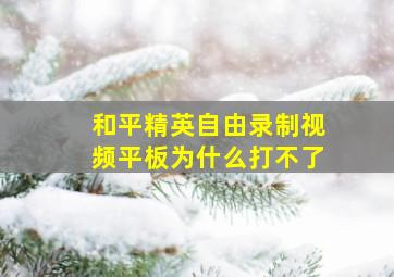 和平精英自由录制视频平板为什么打不了