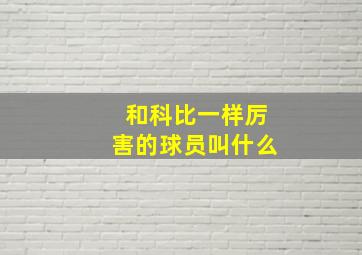 和科比一样厉害的球员叫什么