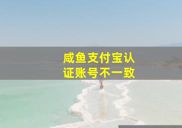 咸鱼支付宝认证账号不一致