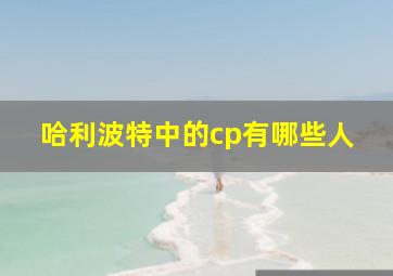 哈利波特中的cp有哪些人