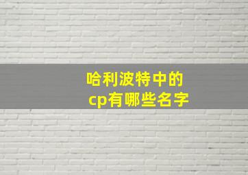 哈利波特中的cp有哪些名字