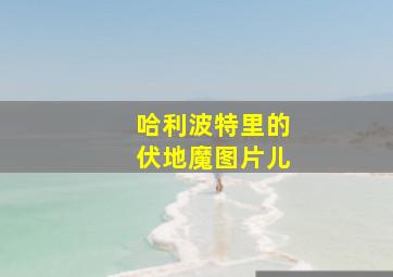 哈利波特里的伏地魔图片儿