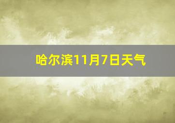 哈尔滨11月7日天气