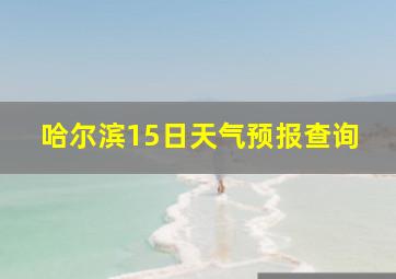 哈尔滨15日天气预报查询