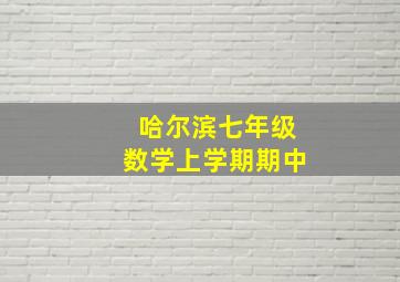 哈尔滨七年级数学上学期期中