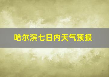 哈尔滨七日内天气预报