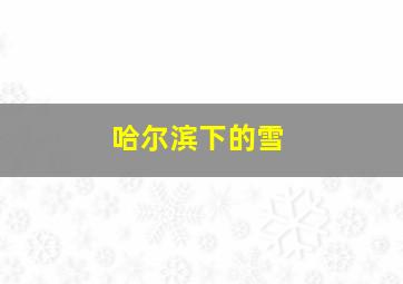 哈尔滨下的雪