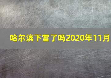 哈尔滨下雪了吗2020年11月