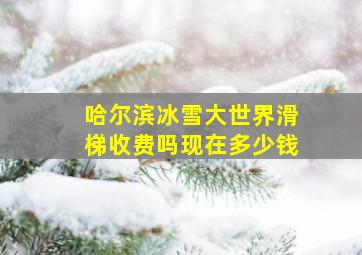 哈尔滨冰雪大世界滑梯收费吗现在多少钱