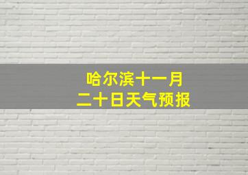 哈尔滨十一月二十日天气预报