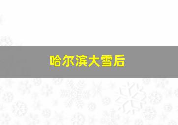 哈尔滨大雪后