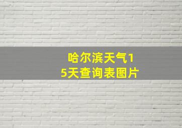 哈尔滨天气15天查询表图片