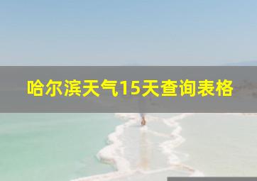 哈尔滨天气15天查询表格