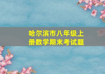 哈尔滨市八年级上册数学期末考试题