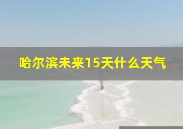 哈尔滨未来15天什么天气