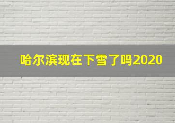 哈尔滨现在下雪了吗2020