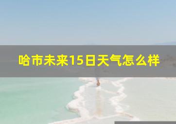 哈市未来15日天气怎么样